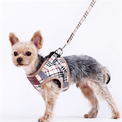 burberry harness small dog|Burberry home accessories.